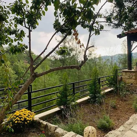Luxury House-,troodos Mountains,forest Вилла Лимасол