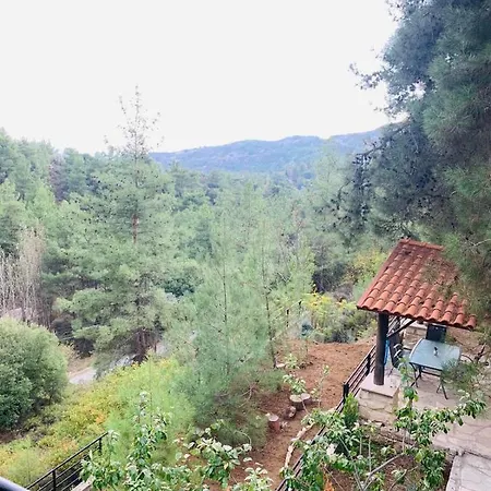 Luxury House-,troodos Mountains,forest * Лимасол
