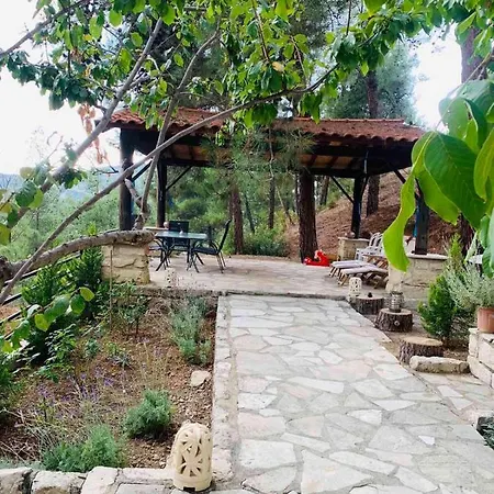 Luxury House-,troodos Mountains,forest Вилла