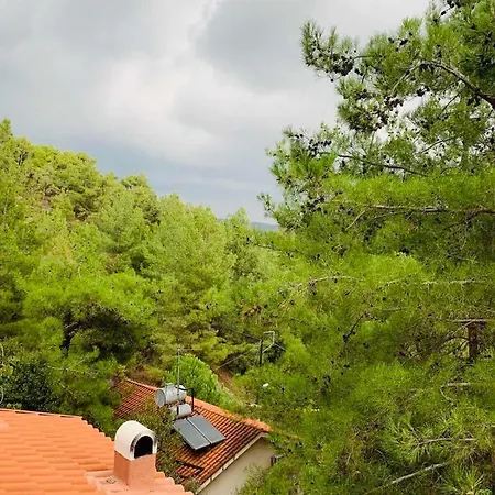 Luxury House-,troodos Mountains,forest *