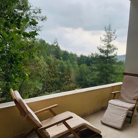 Вилла Luxury House-,troodos Mountains,forest