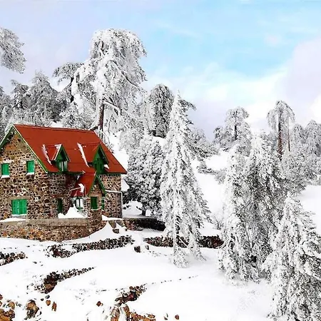 Luxury House-,troodos Mountains,forest Вилла